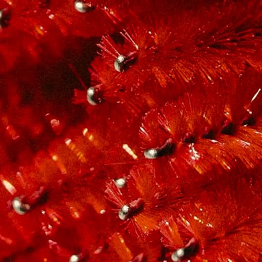 Mega Volume Lash Club at LooksByLo in Lewisville, TX